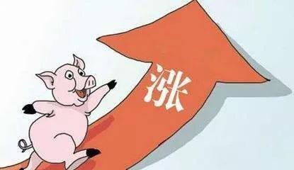 豬肉（ròu）漲價吃不起，你竟然要怨環保？